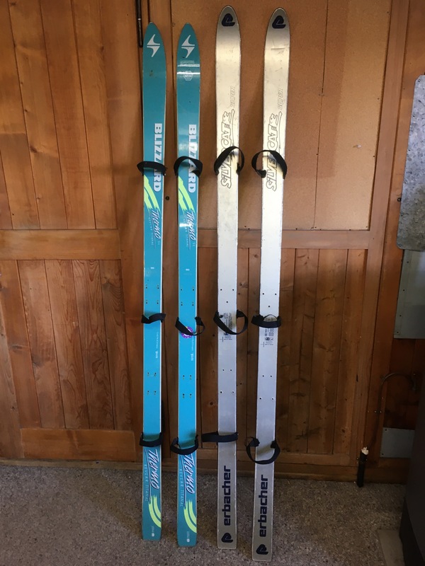 Ski mini
